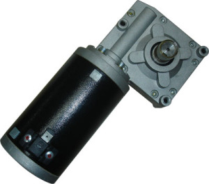 DC Worm Gear Motor for Golf Chartered Car