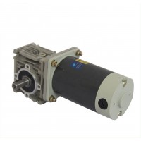 12v  24 vdc electric motor with worm gearbox and high torque low rpm