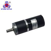 Etonm 12v 24v fast speed high torque bldc dental micro motor