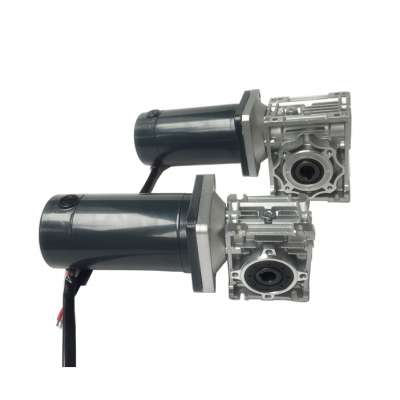 In stock of Motor factory made 100Nm RV worm geared doulbe shaft 24V dc Motor 500w with encoder