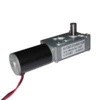 DC brushless worm gear motor 12v 10 rpm